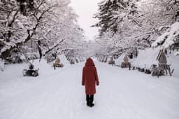 Rediscover the Outdoors: How Older Adults Can Safely Enjoy Winter Activities